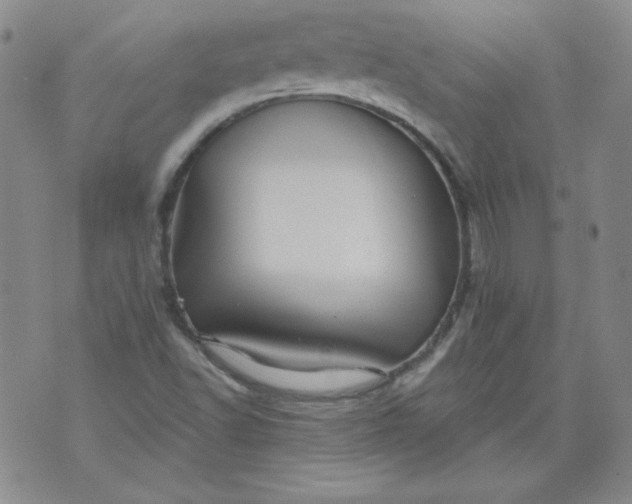 X0000074281502200609151839