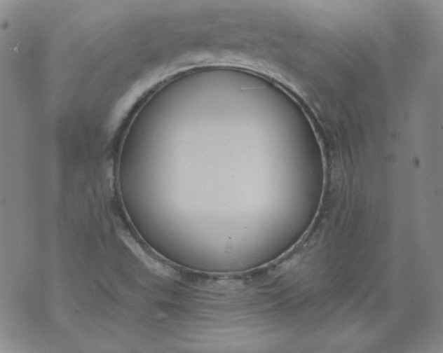 X0000074281503200609151839