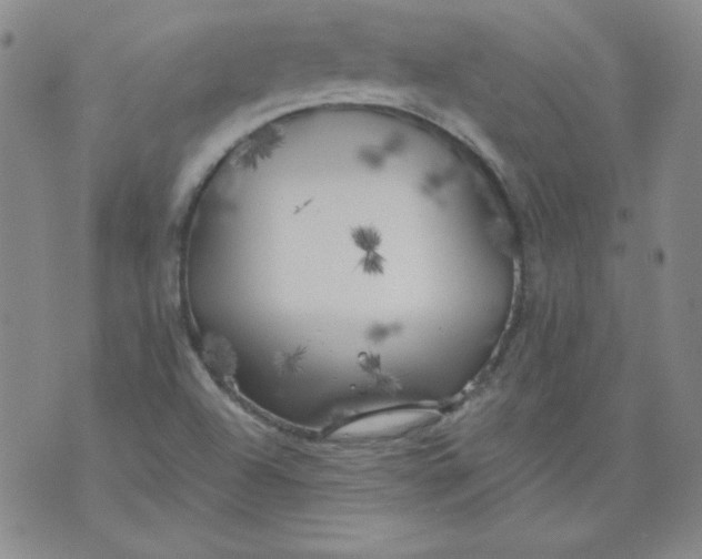 X0000074281504200609151839