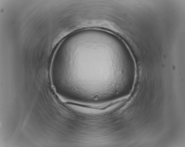 X0000074281505200609151839