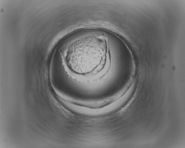 X0000074281506200609151839