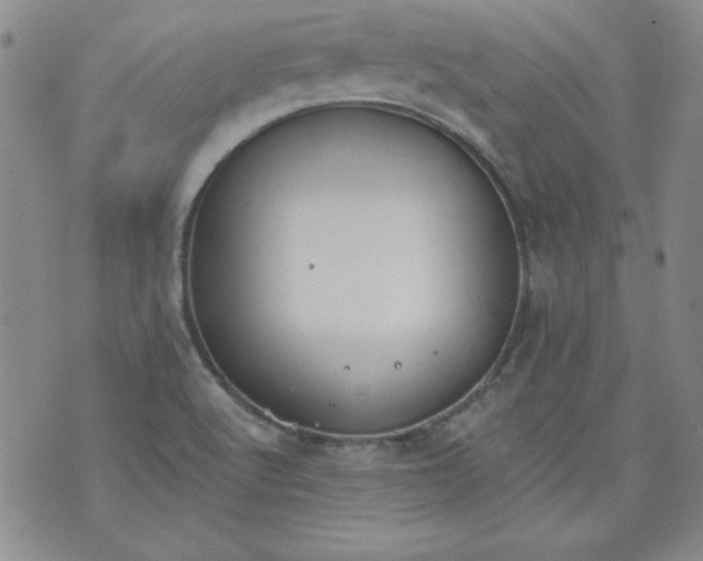 X0000074281512200609151839