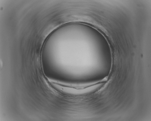 X0000074281513200609151839