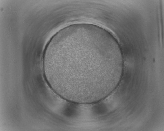 X0000074281514200609151839