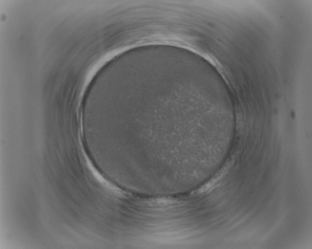 X0000074281515200609151839