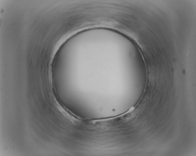 X0000074281516200609151839