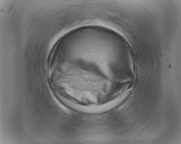 X0000074281519200609151839