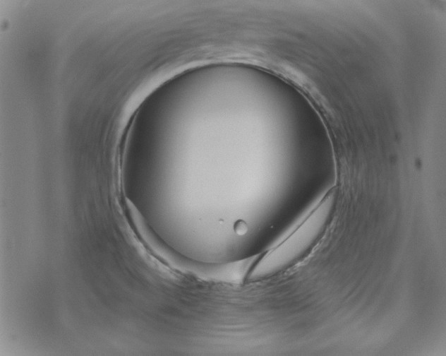 X0000074281520200609151839