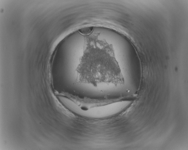 X0000074281522200609151839