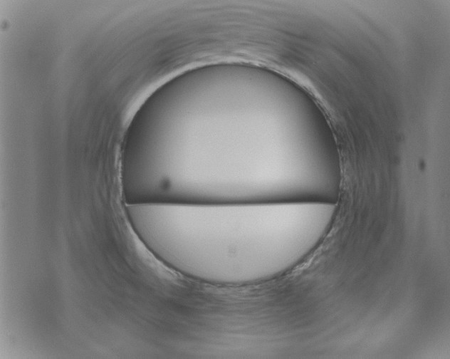 X0000074281524200609151839