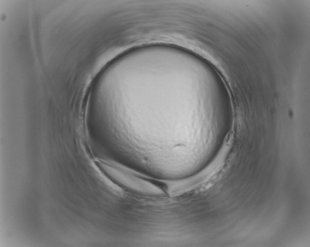 X0000074281525200609151839