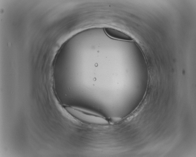 X0000074281526200609151839