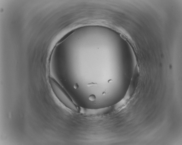 X0000074281528200609151839