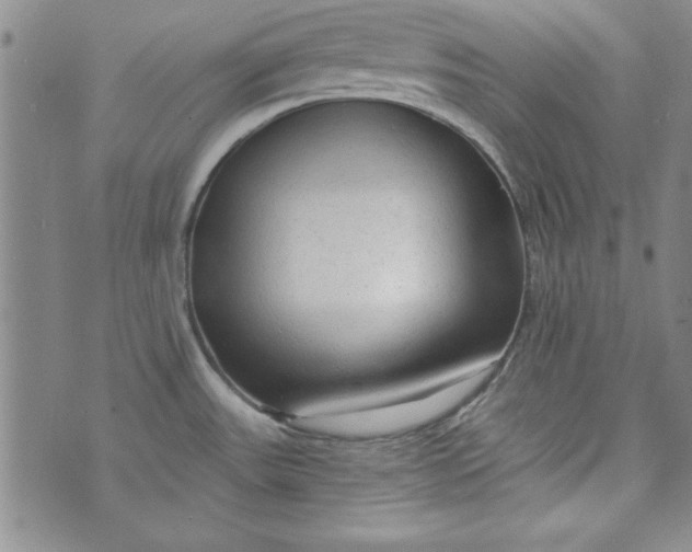 X0000074281531200609151839