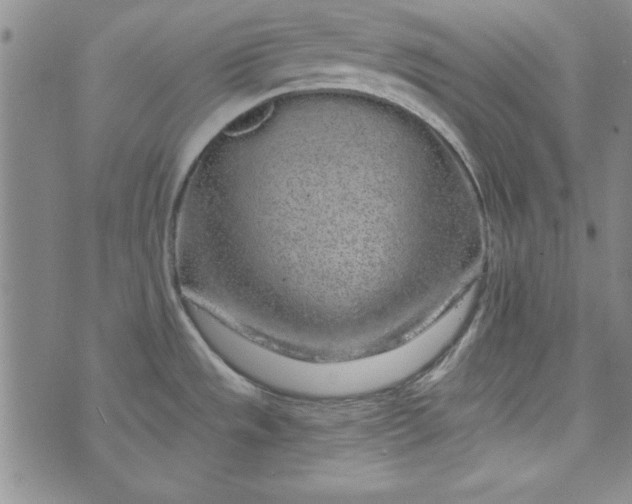 X0000074281533200609151839