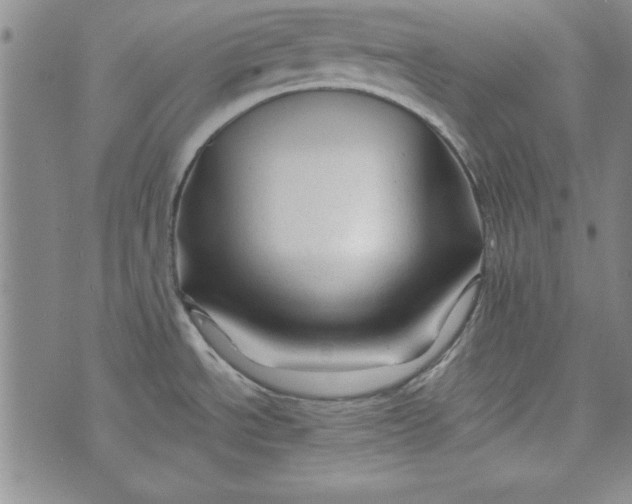 X0000074281534200609151839