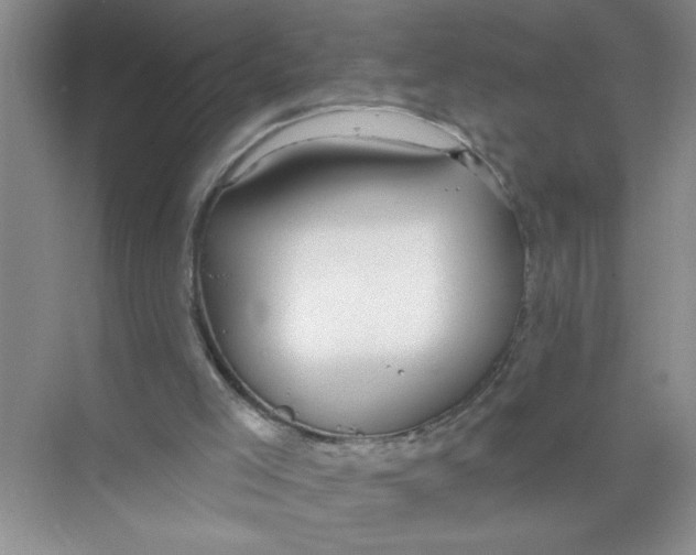 X0000074280005200609222255