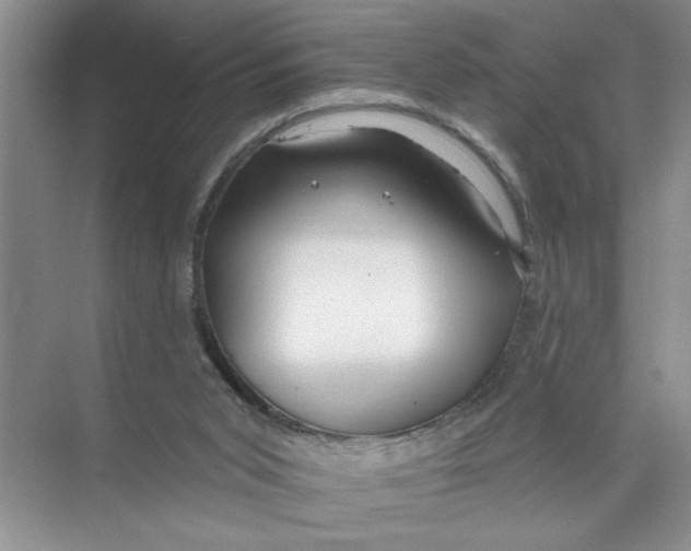 X0000074280015200609222255