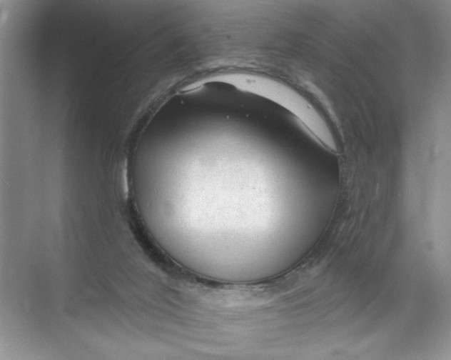 X0000074280020200609222255