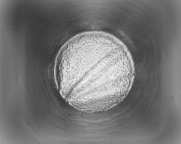 X0000074280026200609222255