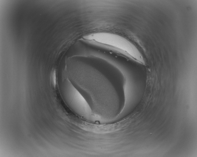 X0000074280027200609222255