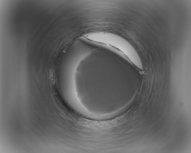 X0000074280031200609222255