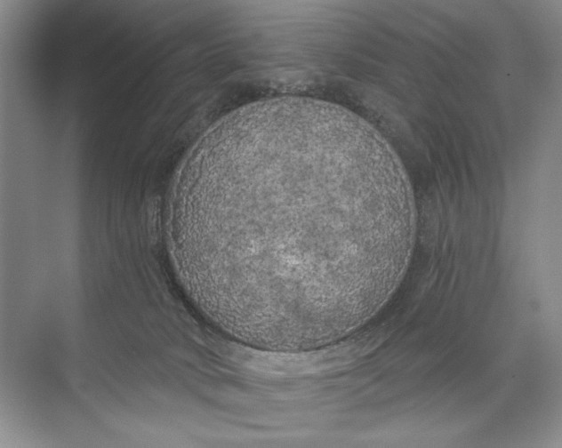 X0000074280034200609222255