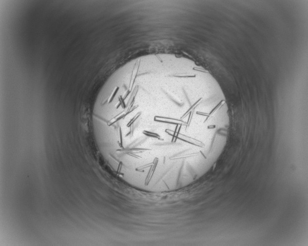 X0000074280038200609222255