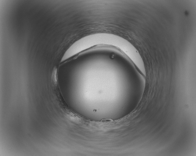 X0000074280041200609222254