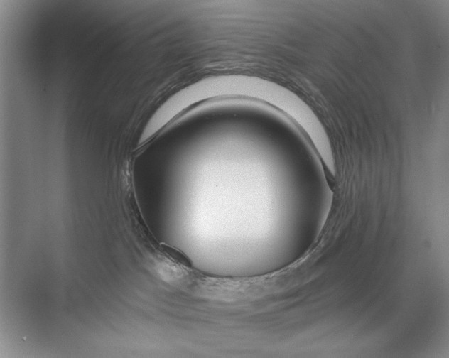 X0000074280045200609222254