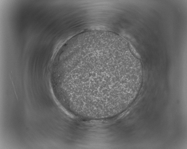 X0000074280049200609222254