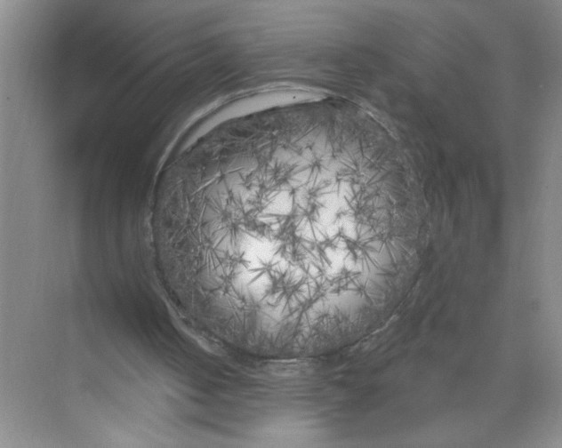 X0000074280050200609222254
