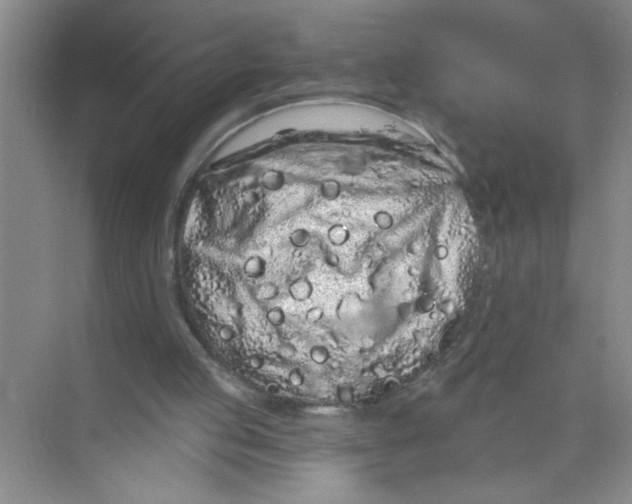 X0000074280053200609222254