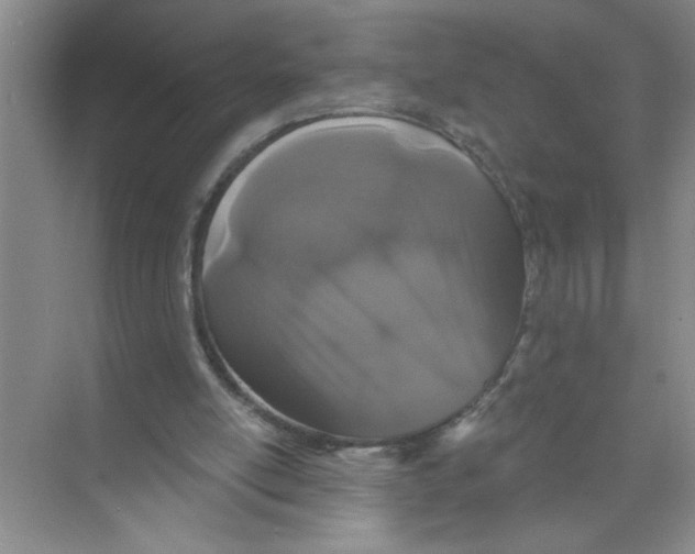 X0000074280054200609222254