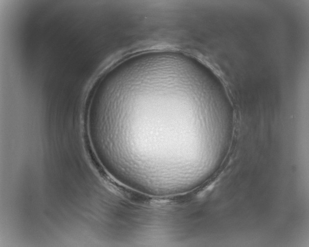 X0000074280055200609222254