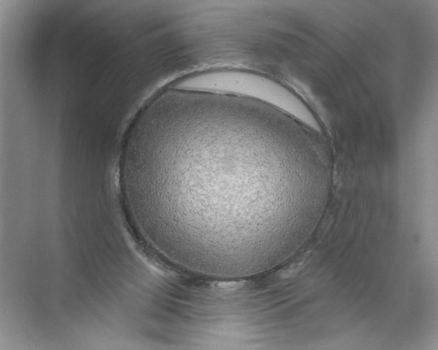 X0000074280060200609222254