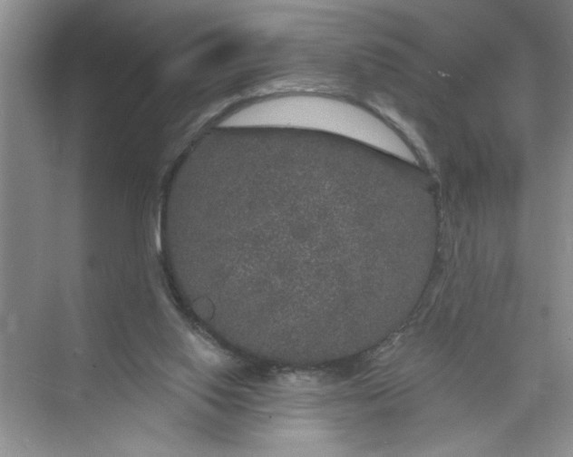 X0000074280062200609222254