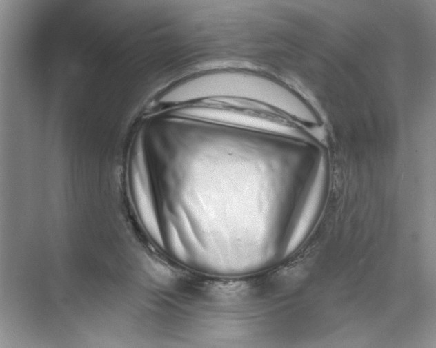 X0000074280063200609222254