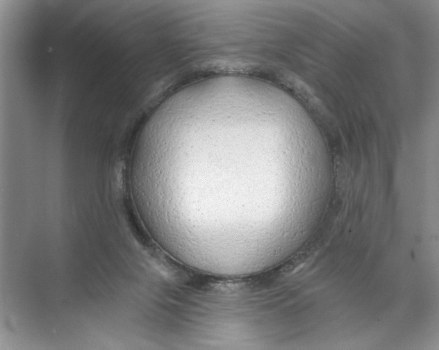 X0000074280071200609222254