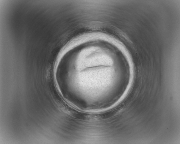 X0000074280073200609222254