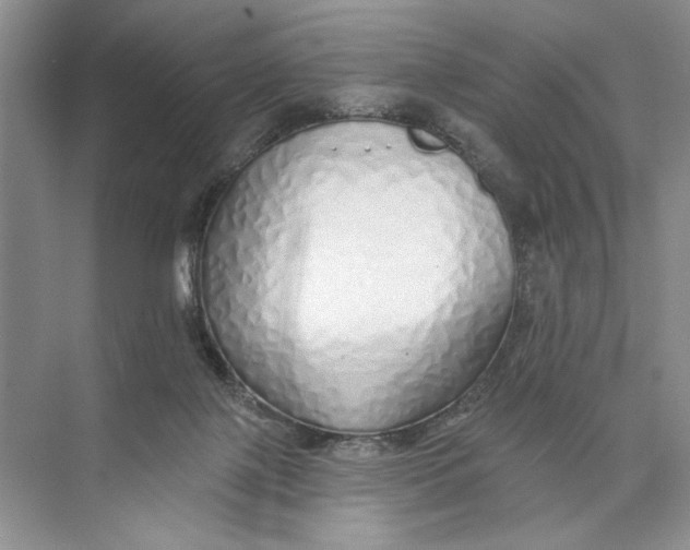 X0000074280075200609222254