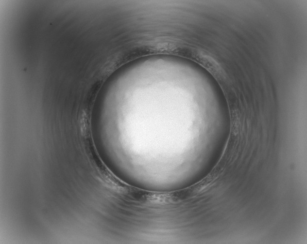 X0000074280077200609222254