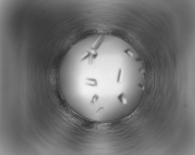 X0000074280078200609222254