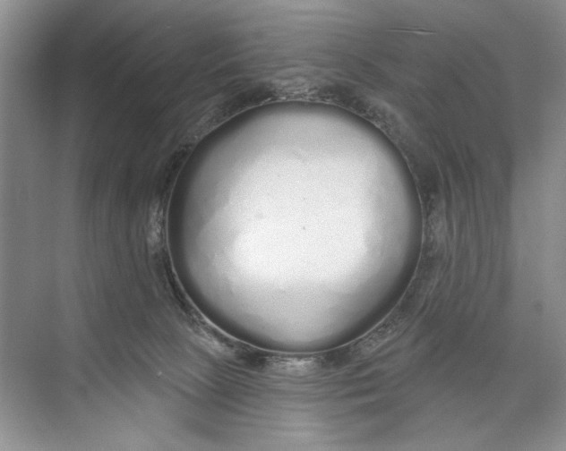 X0000074280081200609222254