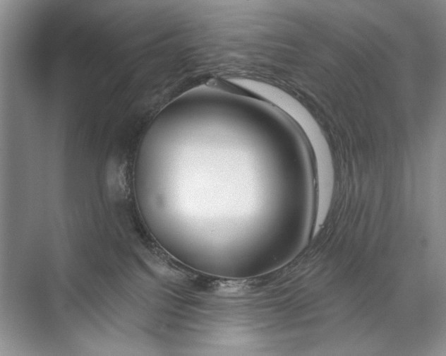 X0000074280088200609222254
