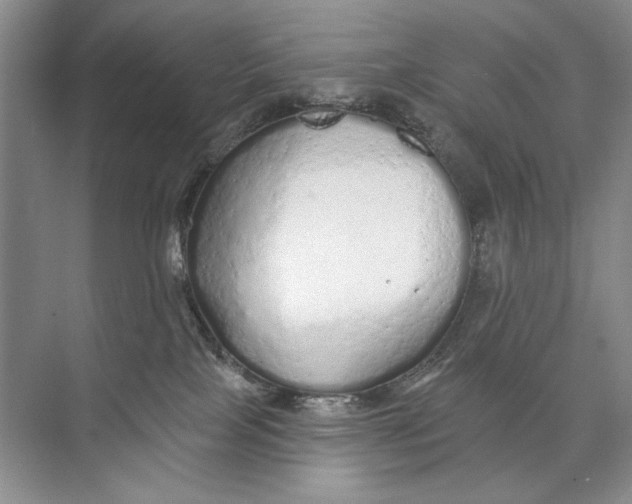 X0000074280089200609222254
