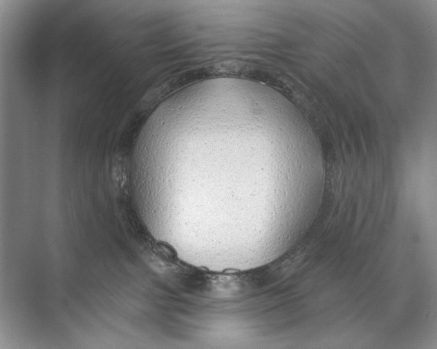 X0000074280091200609222254