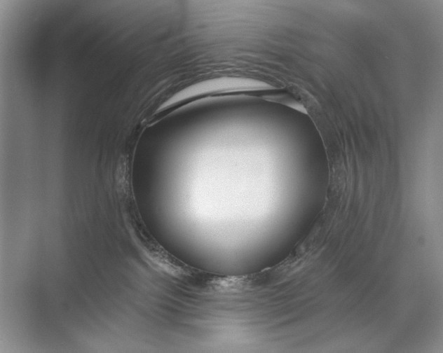 X0000074280092200609222254