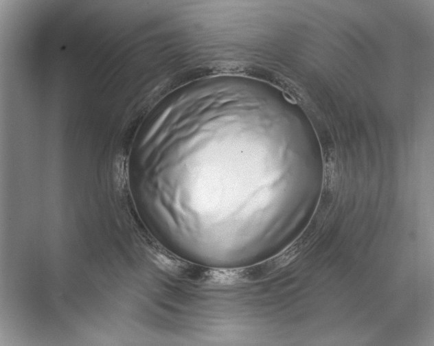 X0000074280093200609222254