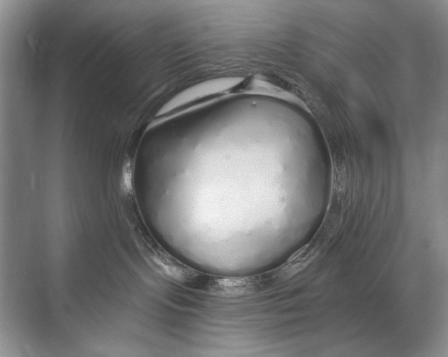 X0000074280095200609222254